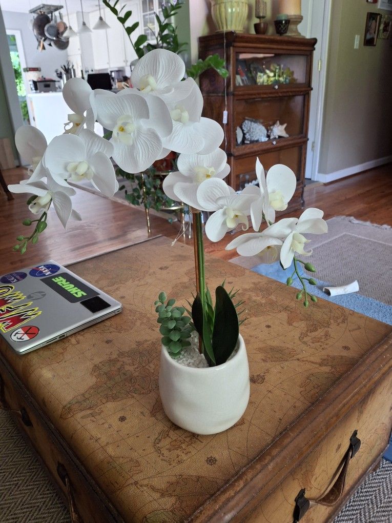 22x6 Artificial Orchid
