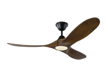 Monte Carlo ceiling fan