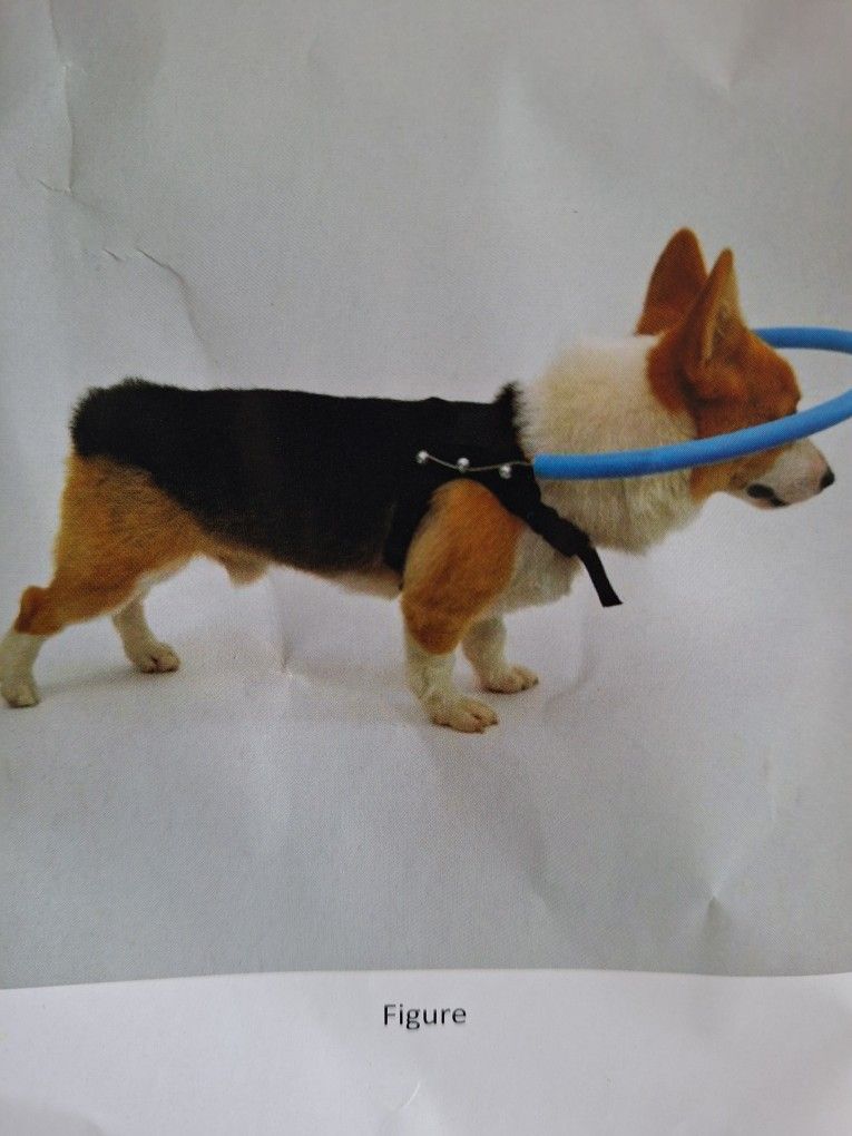 Anti Colision Collar Dog New