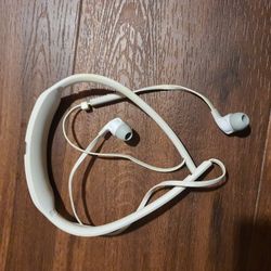 Skull Candy Headphones