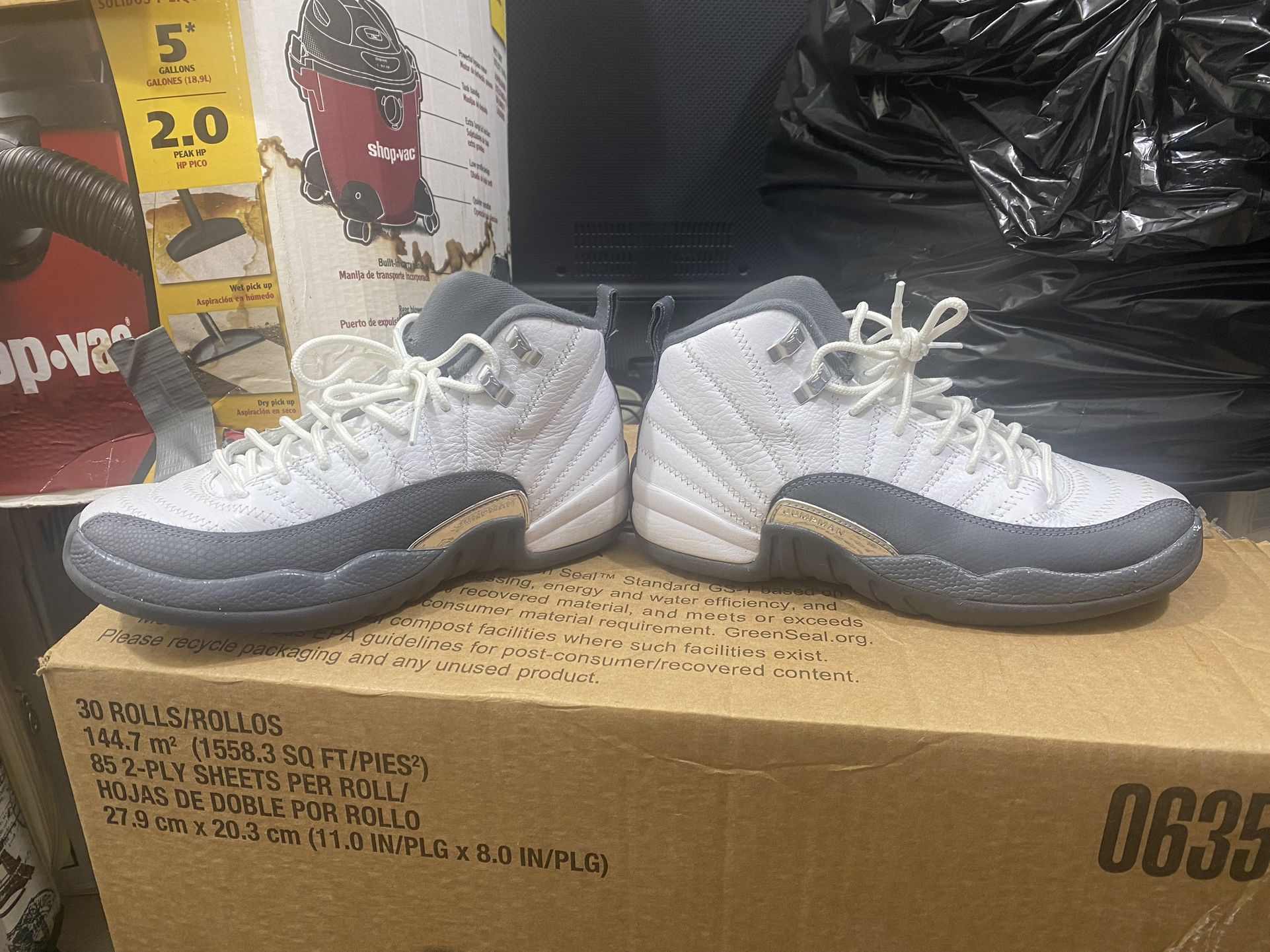Air Jordan 12