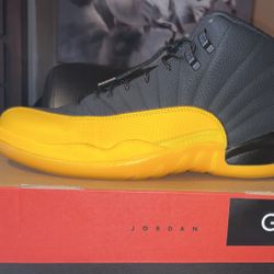 University Gold Jordan 12s