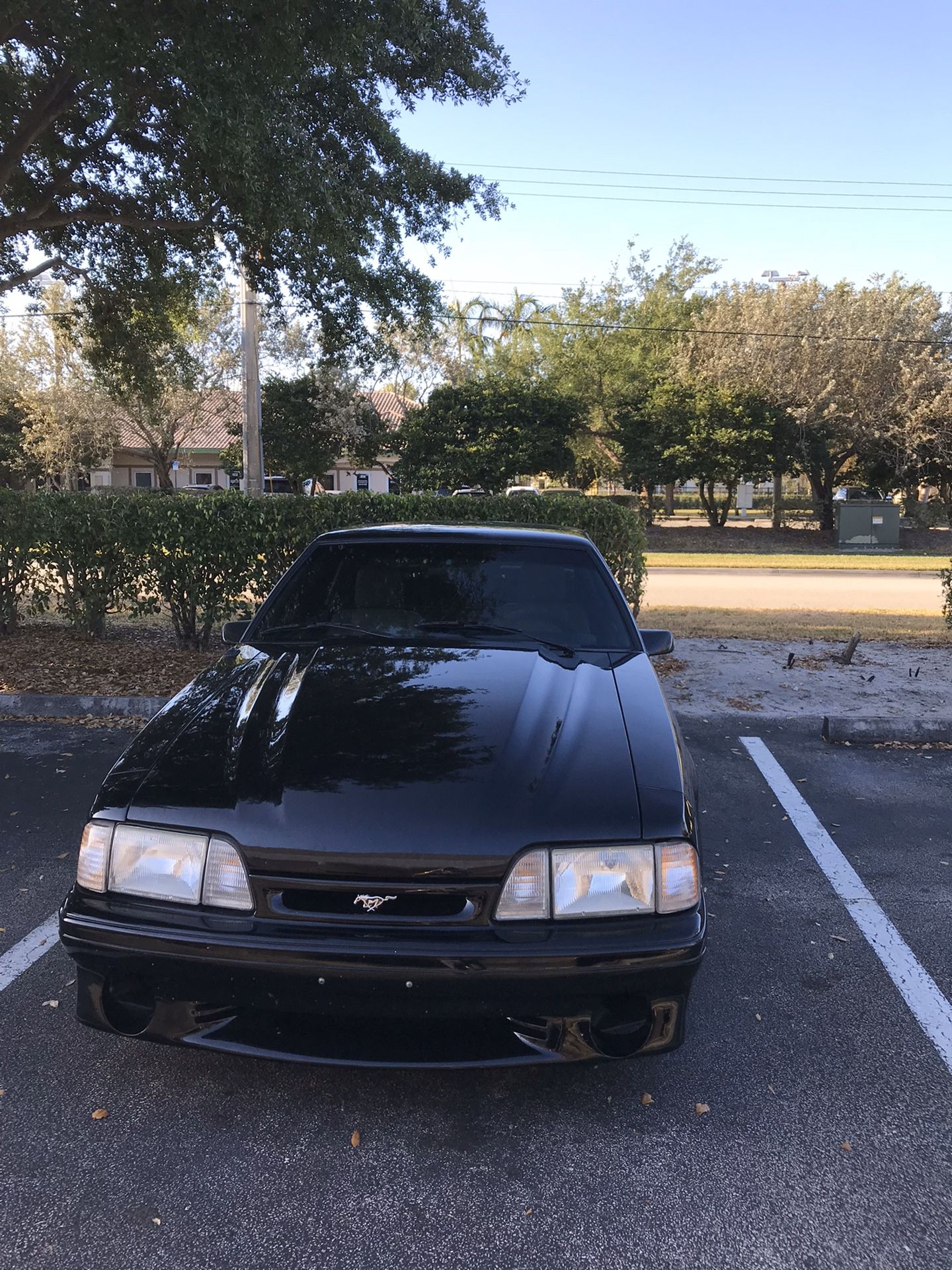 1993 Ford Mustang SVT Cobra