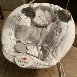 Baby Bouncer And Seat 