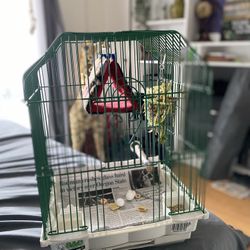 Small Bird Cage