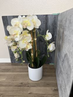 Fake Orchid plant  