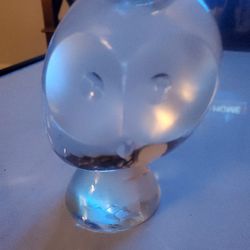 Glass Owl