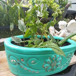 Turquoise Planter 