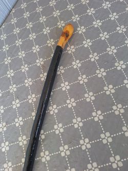 Hiking Stick