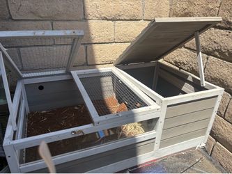 Reptile cage