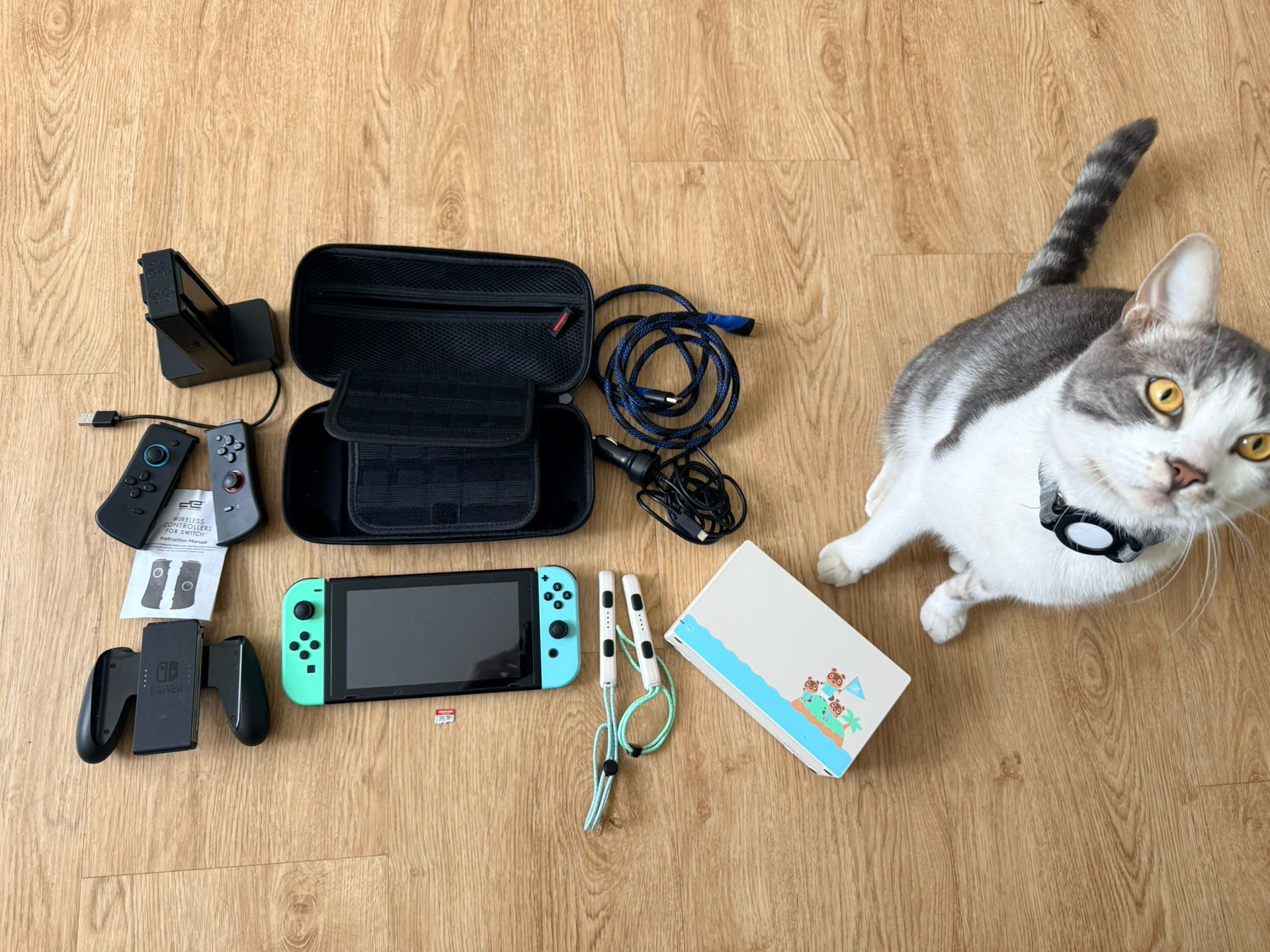 Animal Crossing Nintendo Switch & Accessories