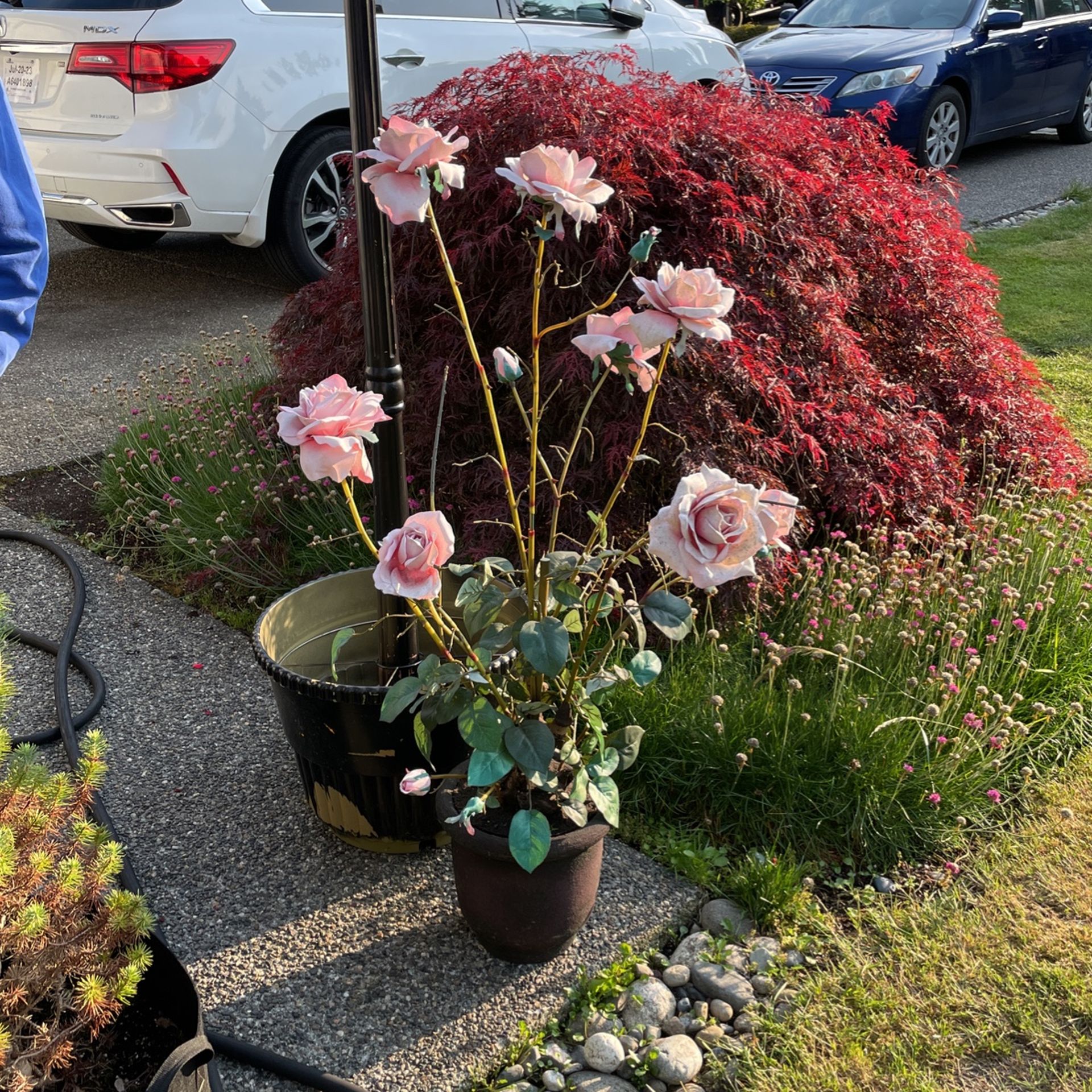 Fake Rose Plant