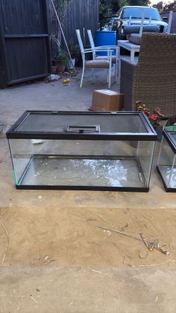 Big Reptile terrarium
