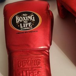 12 Oz Boxing Gloves With FREE Hand Wraps 