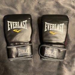 Everlast MMA Gloves 