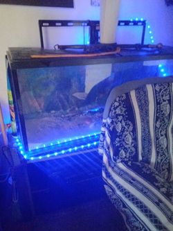 Fish Tank Give Me A Price