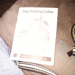 Dog Training Collar