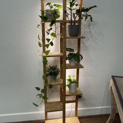 Wood Plant Stand With grow Lights 