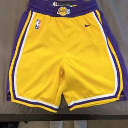 Nike Mens Lakers Shorts