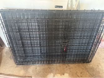 Dog Kennel