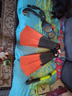 Vintage Duck Feet Fins and masks and snorkels