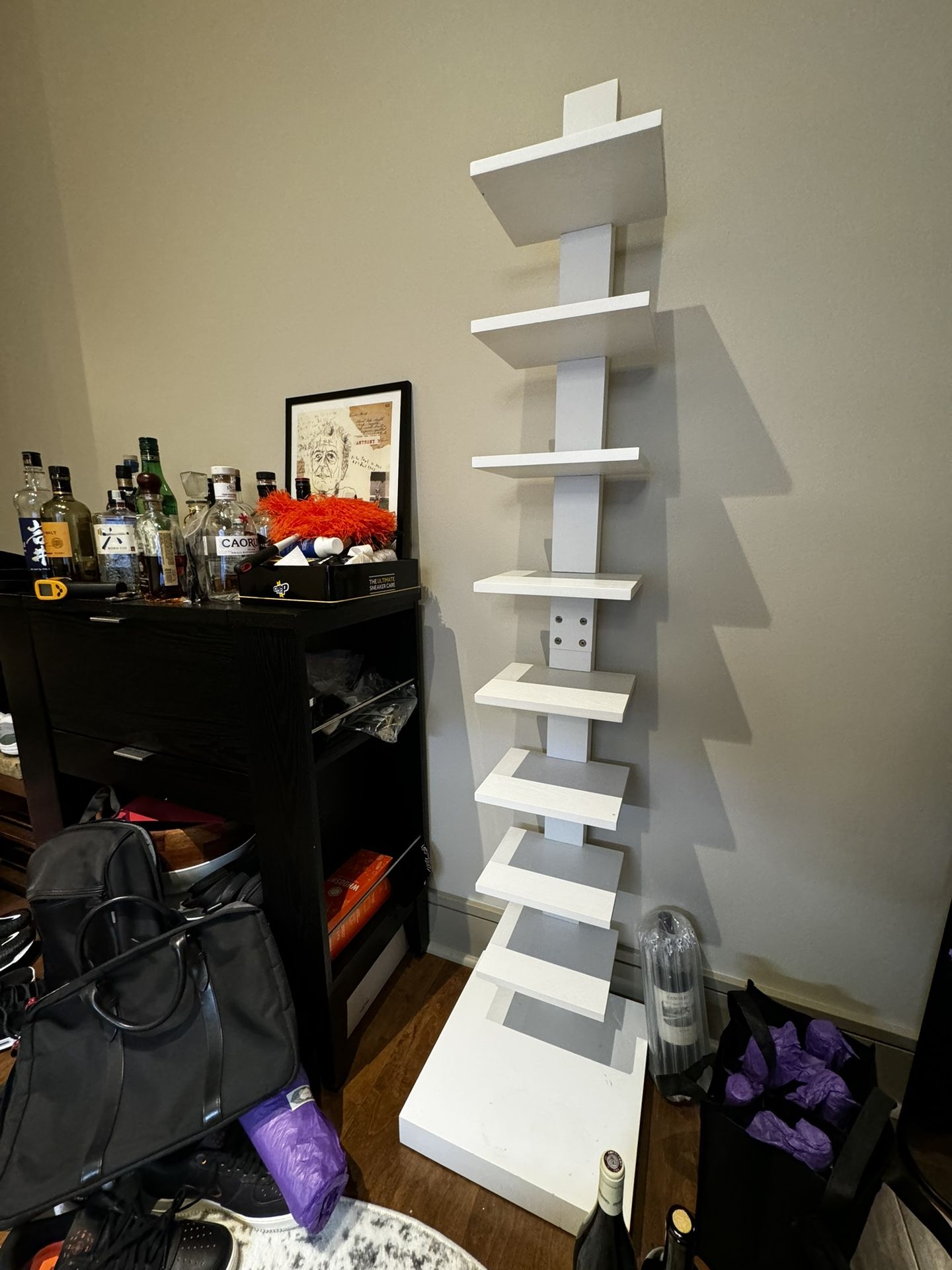 White Spine Bookcase (Ladder Bookcase)