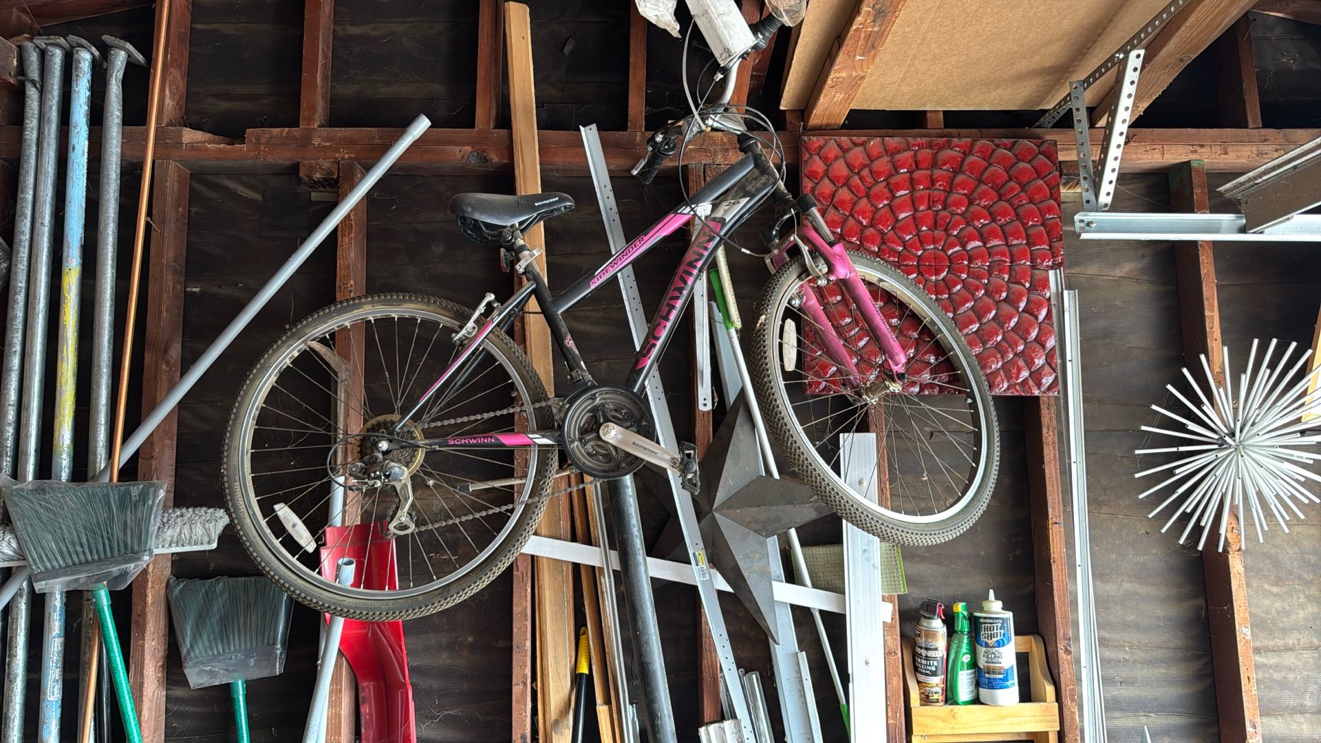 Woman’s Bike