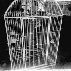 6 Ft Wide Heavy Wrought Iron Bird Cage 