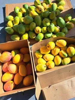 Mangoes 10 for $10 minimum
