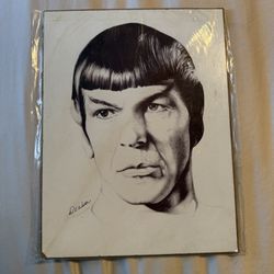 Spock Picture