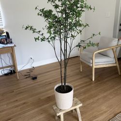 Fake Plant and Stool