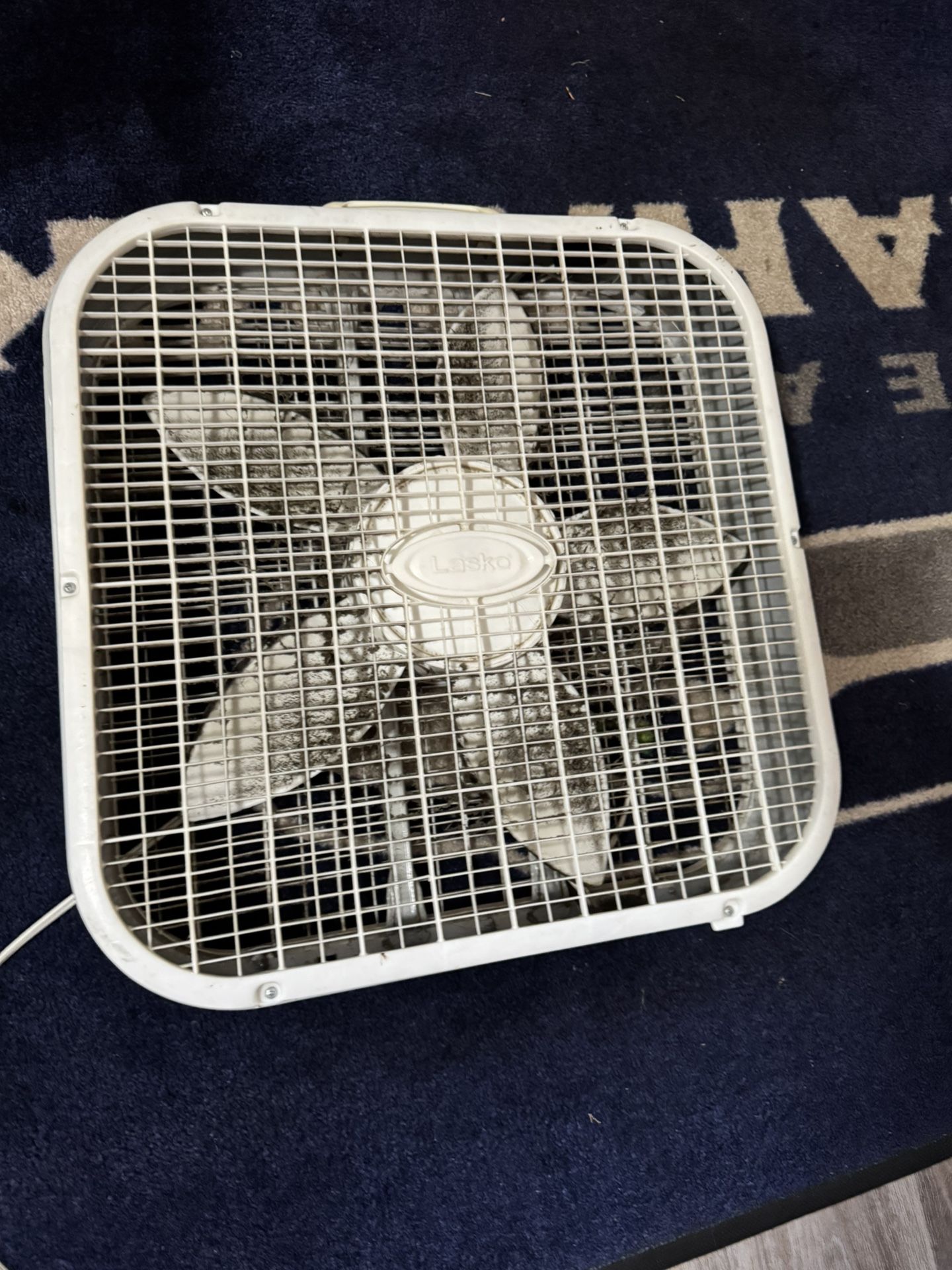 Fan