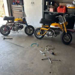 Honda Z50 