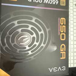 EVGA 650w PSU