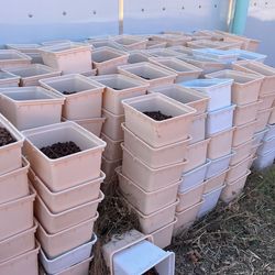 5,000 To 8,000 Hydroton Buckets