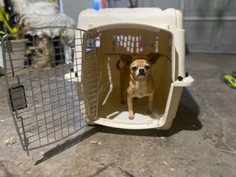 Dog kennel small