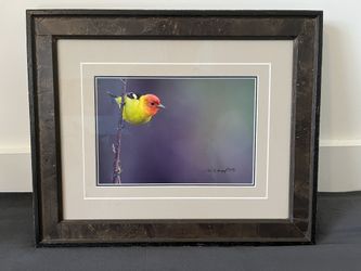 Nature Images