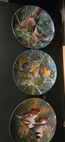 Porcelain  plates