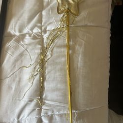 Star Pointer Accessorie