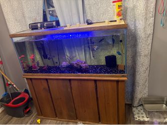 55 gallon fish tank with sand