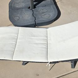 2 Chaise Lounge Chairs 