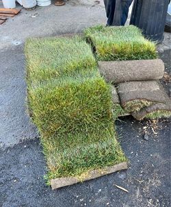 WANTED: Sod