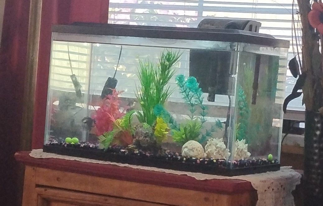 Aquarium 20 Gallons