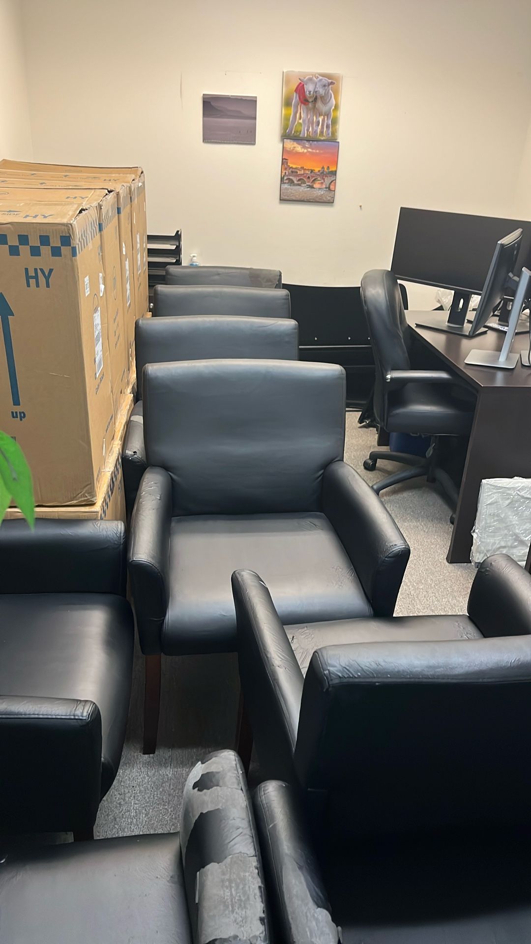 9 Black Chairs