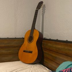 Palmer Acoustic Guitar
