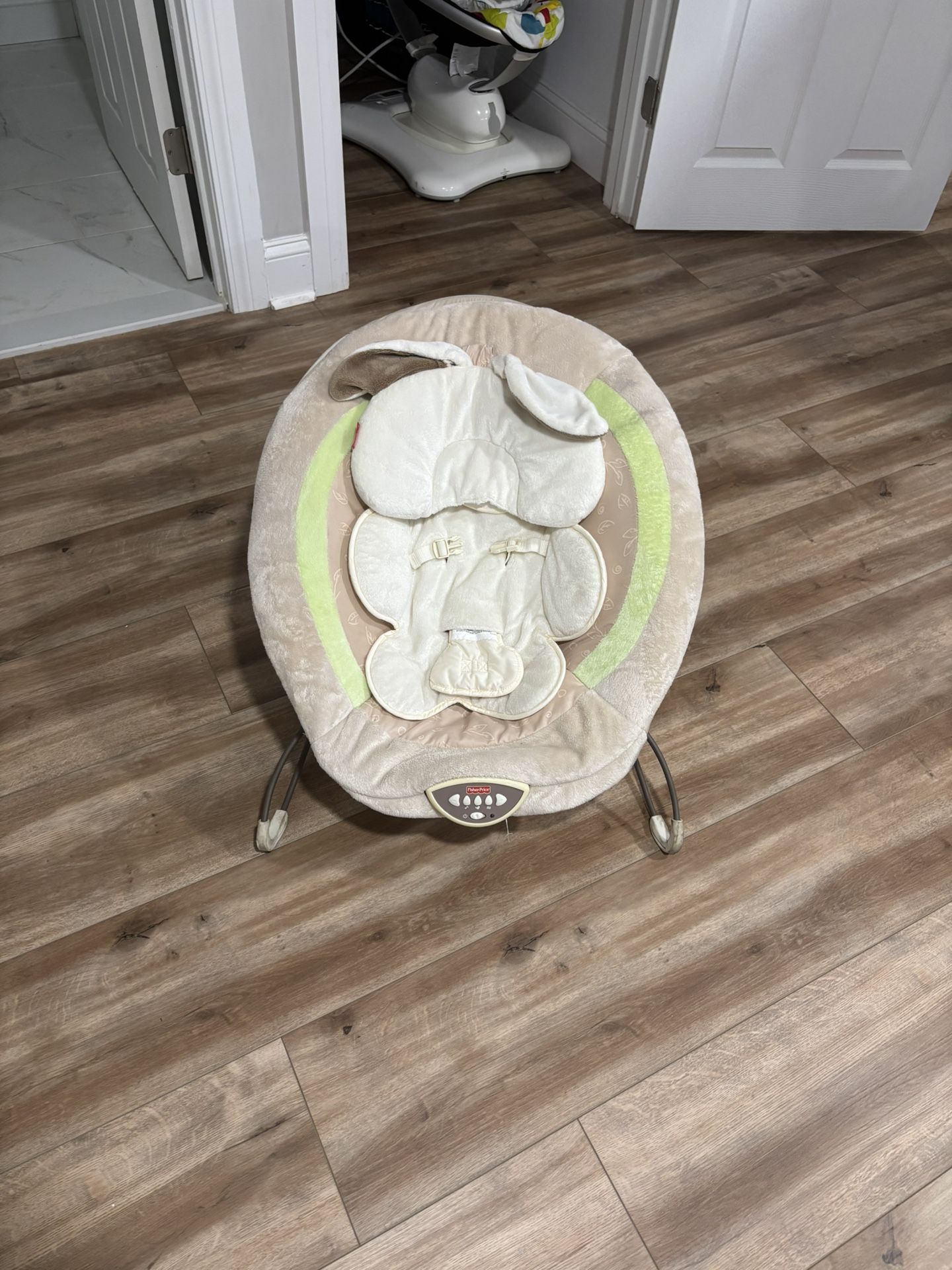 Baby Bouncer