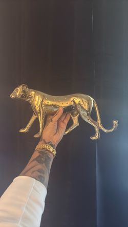 Cool Gold Cat