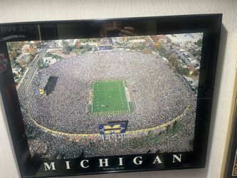 Framed Michigan big house picture