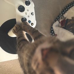 XBOX SERIES X LIKE NEW