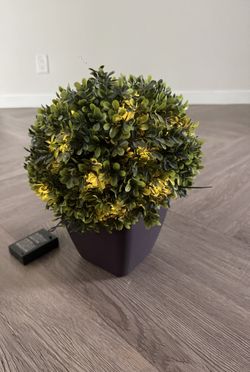 Artificial plant